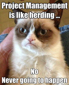 Grumpy Cat Knows